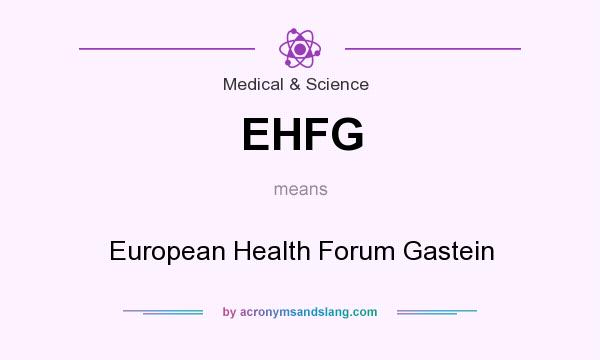 What does EHFG mean? It stands for European Health Forum Gastein