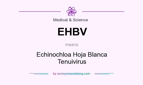 What does EHBV mean? It stands for Echinochloa Hoja Blanca Tenuivirus