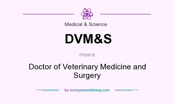 What does DVM&S mean? It stands for Doctor of Veterinary Medicine and Surgery