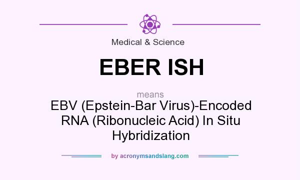What does EBER ISH mean? It stands for EBV (Epstein-Bar Virus)-Encoded RNA (Ribonucleic Acid) In Situ Hybridization
