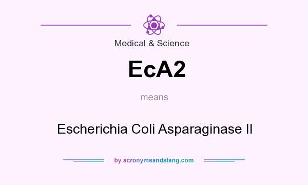 What does EcA2 mean? It stands for Escherichia Coli Asparaginase II