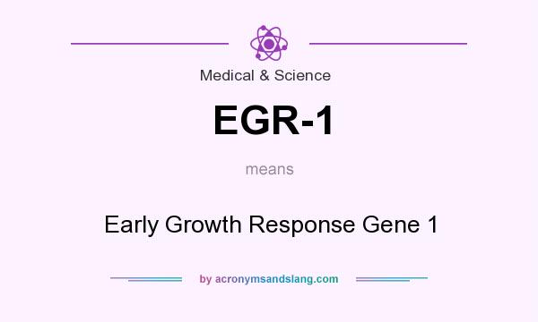 What does EGR-1 mean? It stands for Early Growth Response Gene 1