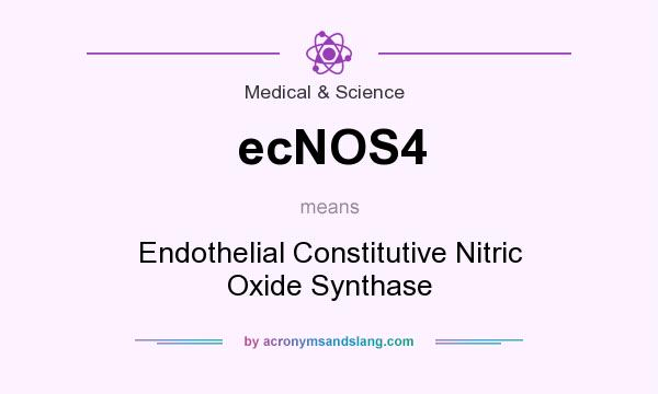 What does ecNOS4 mean? It stands for Endothelial Constitutive Nitric Oxide Synthase