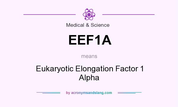 What does EEF1A mean? It stands for Eukaryotic Elongation Factor 1 Alpha