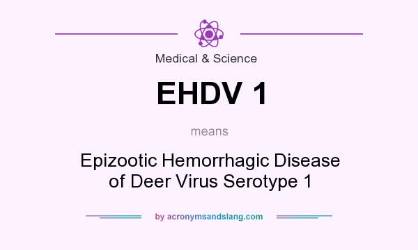 What does EHDV 1 mean? It stands for Epizootic Hemorrhagic Disease of Deer Virus Serotype 1
