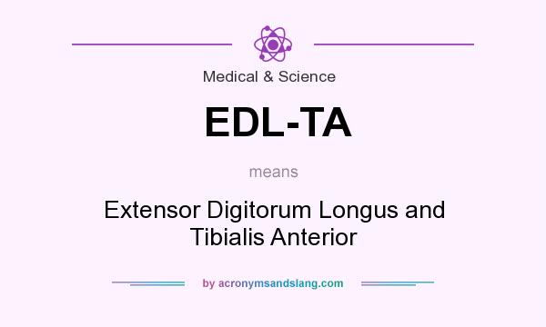What does EDL-TA mean? It stands for Extensor Digitorum Longus and Tibialis Anterior