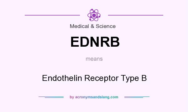 What does EDNRB mean? It stands for Endothelin Receptor Type B