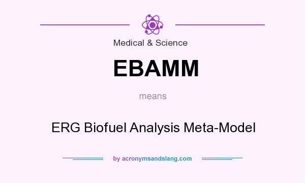 What does EBAMM mean? It stands for ERG Biofuel Analysis Meta-Model
