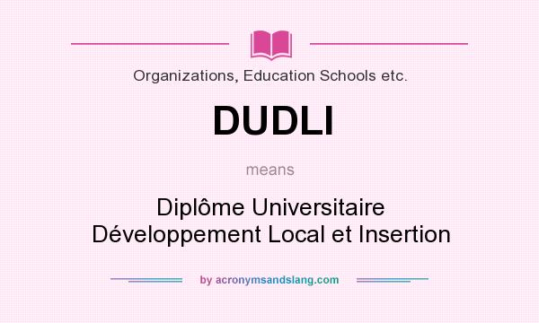 What does DUDLI mean? It stands for Diplôme Universitaire Développement Local et Insertion