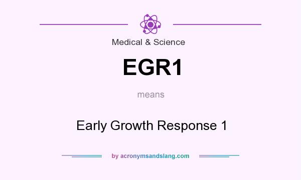 What does EGR1 mean? It stands for Early Growth Response 1