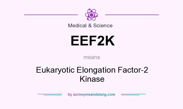 What does EEF2K mean? It stands for Eukaryotic Elongation Factor-2 Kinase