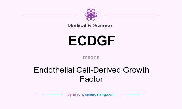 What does ECDGF mean? It stands for Endothelial Cell-Derived Growth Factor