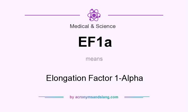 What does EF1a mean? It stands for Elongation Factor 1-Alpha