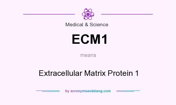 What does ECM1 mean? It stands for Extracellular Matrix Protein 1