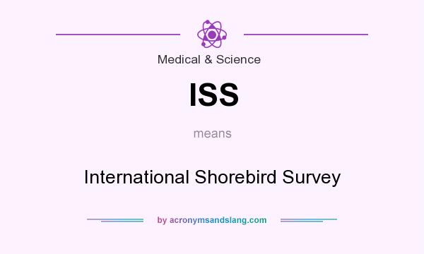 What does ISS mean? It stands for International Shorebird Survey