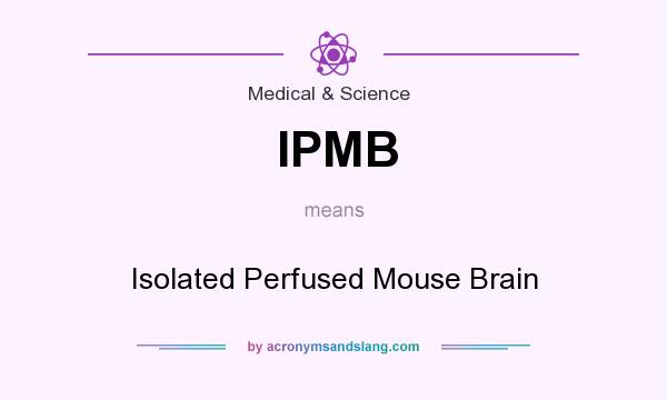 What does IPMB mean? It stands for Isolated Perfused Mouse Brain