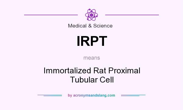 What does IRPT mean? It stands for Immortalized Rat Proximal Tubular Cell