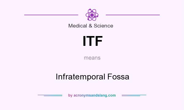 What does ITF mean? It stands for Infratemporal Fossa