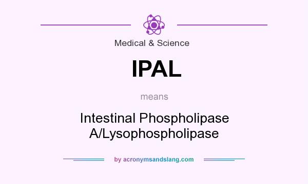 What does IPAL mean? It stands for Intestinal Phospholipase A/Lysophospholipase