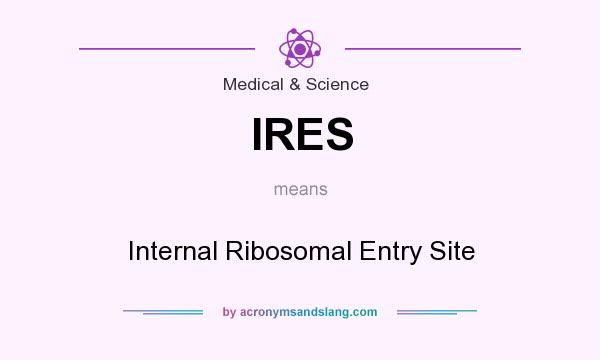 What does IRES mean? It stands for Internal Ribosomal Entry Site