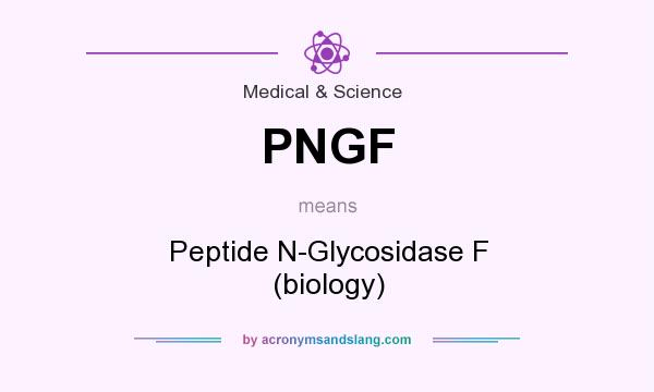 What does PNGF mean? It stands for Peptide N-Glycosidase F (biology)