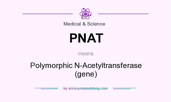 What does PNAT mean? It stands for Polymorphic N-Acetyltransferase (gene)