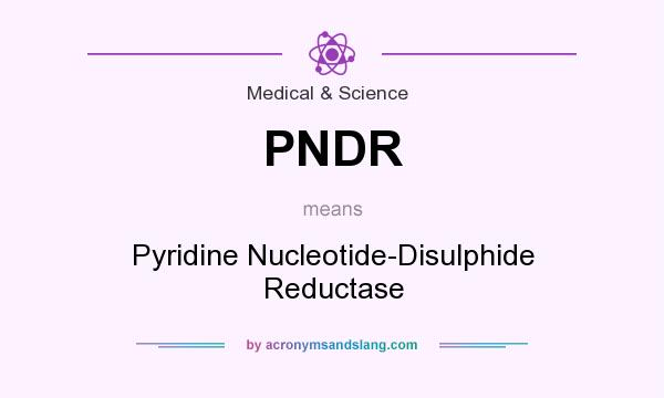 What does PNDR mean? It stands for Pyridine Nucleotide-Disulphide Reductase
