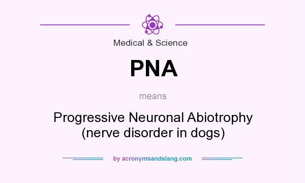 What does PNA mean? It stands for Progressive Neuronal Abiotrophy (nerve disorder in dogs)