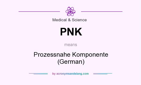 What does PNK mean? It stands for Prozessnahe Komponente (German)