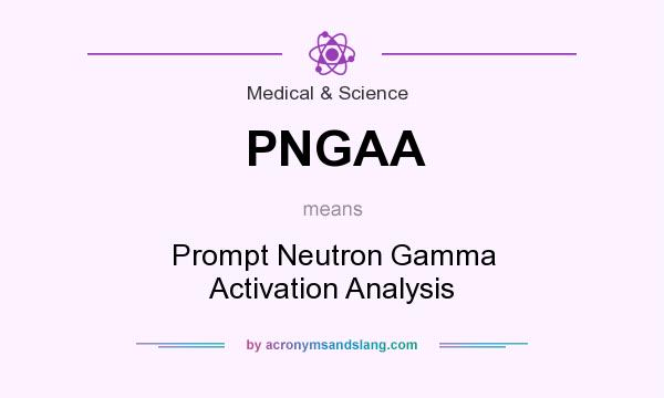What does PNGAA mean? It stands for Prompt Neutron Gamma Activation Analysis