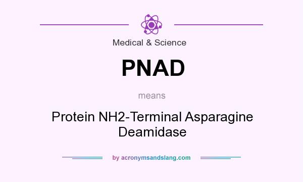 What does PNAD mean? It stands for Protein NH2-Terminal Asparagine Deamidase