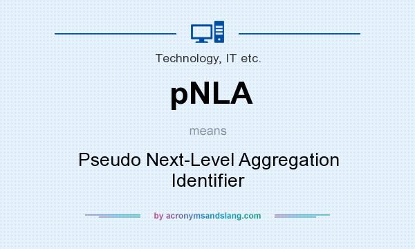 What does pNLA mean? It stands for Pseudo Next-Level Aggregation Identifier