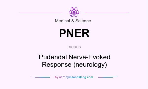 What does PNER mean? It stands for Pudendal Nerve-Evoked Response (neurology)