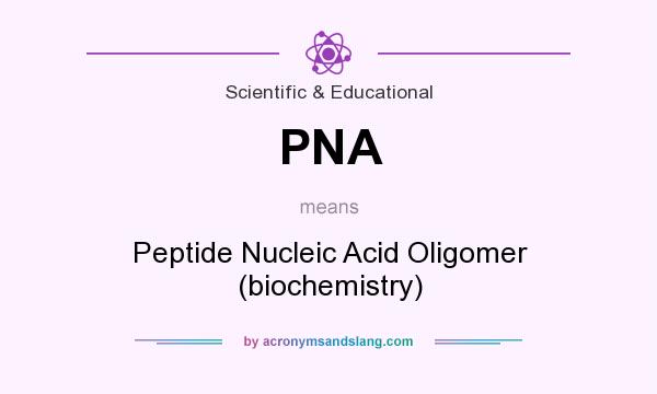 What does PNA mean? It stands for Peptide Nucleic Acid Oligomer (biochemistry)