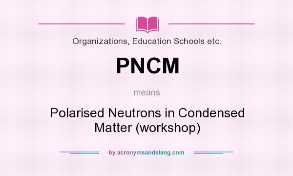 What does PNCM mean? It stands for Polarised Neutrons in Condensed Matter (workshop)