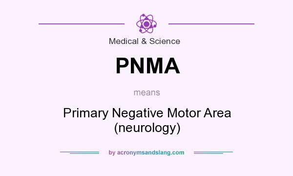What does PNMA mean? It stands for Primary Negative Motor Area (neurology)