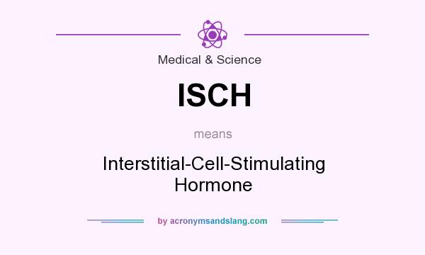 What does ISCH mean? It stands for Interstitial-Cell-Stimulating Hormone