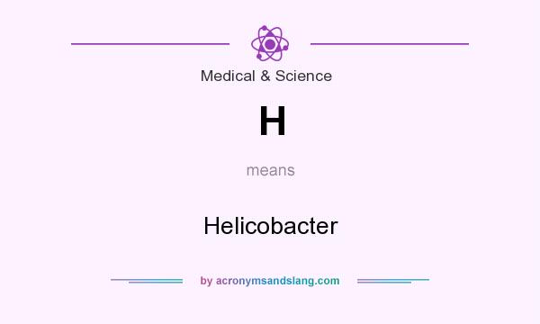 What does H mean? It stands for Helicobacter