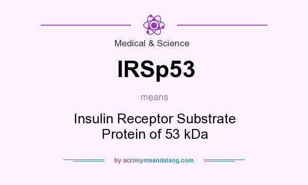 What does IRSp53 mean? It stands for Insulin Receptor Substrate Protein of 53 kDa