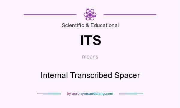 What does ITS mean? It stands for Internal Transcribed Spacer