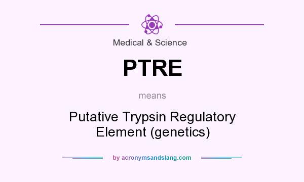 What does PTRE mean? It stands for Putative Trypsin Regulatory Element (genetics)