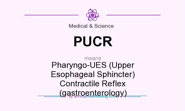 What does PUCR mean? It stands for Pharyngo-UES (Upper Esophageal Sphincter) Contractile Reflex (gastroenterology)