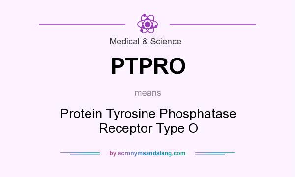 What does PTPRO mean? It stands for Protein Tyrosine Phosphatase Receptor Type O