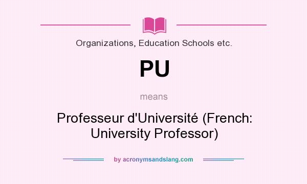 What does PU mean? It stands for Professeur d`Université (French: University Professor)