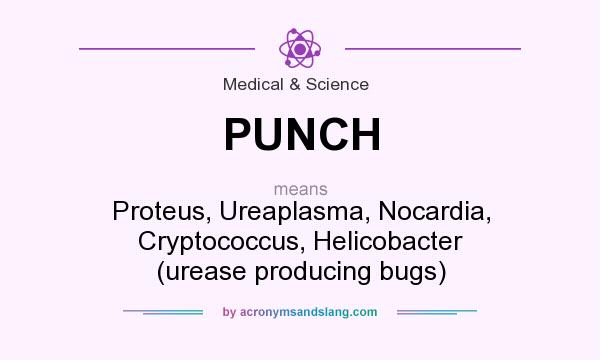What does PUNCH mean? It stands for Proteus, Ureaplasma, Nocardia, Cryptococcus, Helicobacter (urease producing bugs)
