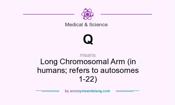 What does Q mean? It stands for Long Chromosomal Arm (in humans; refers to autosomes 1-22)