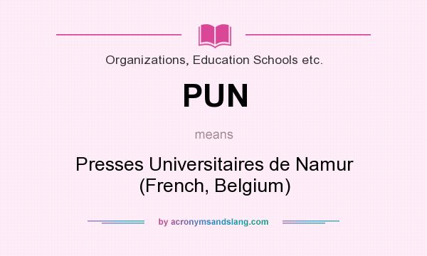 What does PUN mean? It stands for Presses Universitaires de Namur (French, Belgium)