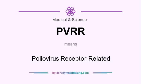 What does PVRR mean? It stands for Poliovirus Receptor-Related