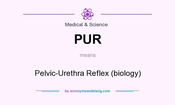 What does PUR mean? It stands for Pelvic-Urethra Reflex (biology)