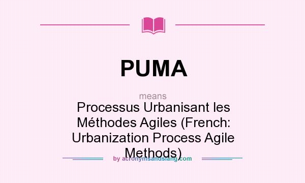 What does PUMA mean? It stands for Processus Urbanisant les Méthodes Agiles (French: Urbanization Process Agile Methods)